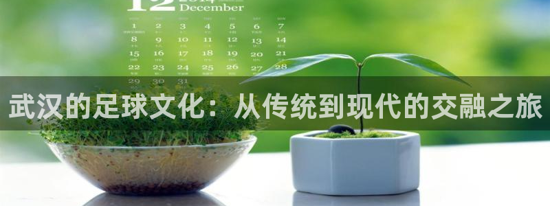 武汉的足球文化：从传统到现代的交融之旅