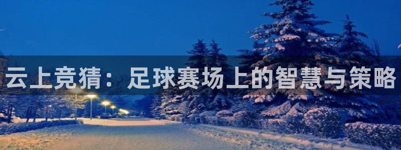  云上竞猜：足球赛场上的智慧与策略