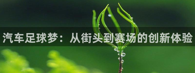  汽车足球梦：从街头到赛场的创新体验