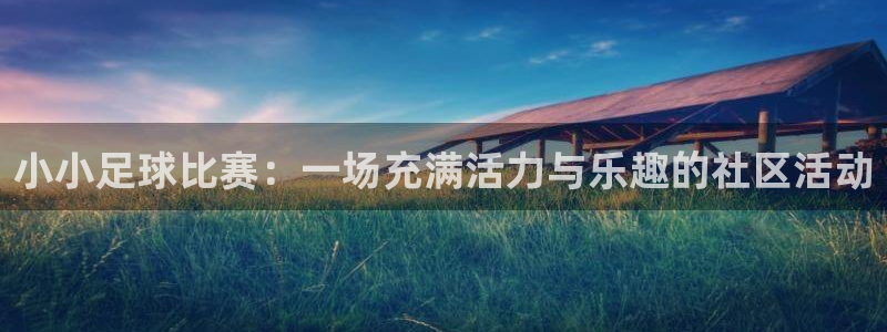  k1体育下载链接：小小足球比赛：一场充满活力与乐趣的社区活动