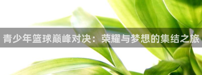  k1比赛高清视频：青少年篮球巅峰对决：荣耀与梦想的集结之旅