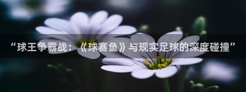  k1体育官网登录入口登录平台：“球王争霸战：《球赛鱼》与现实