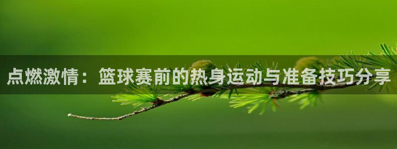  k1体育app下载：点燃激情：篮球赛前的热身运动与准备技巧分
