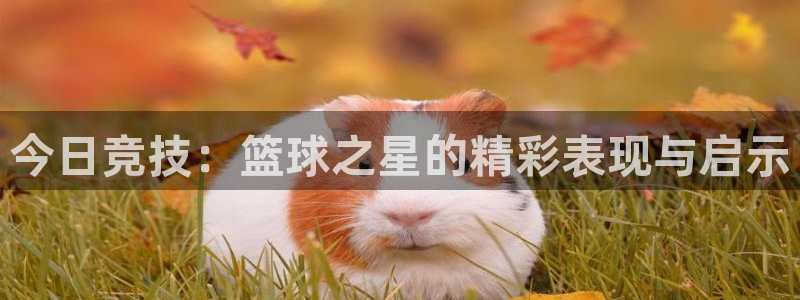 k1战队俱乐部：今日竞技：篮球之星的精彩表现与启示