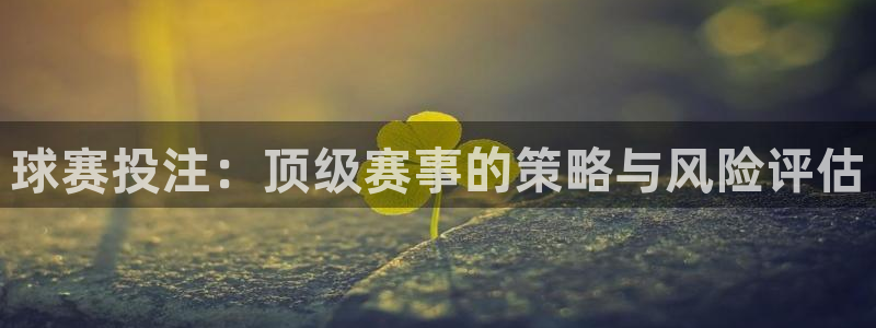  k1体育app下载官网入口手机版免费：球赛投注：顶级赛事的策